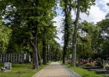 Správa hřbitova